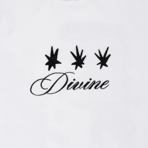 DIVINE WHITE